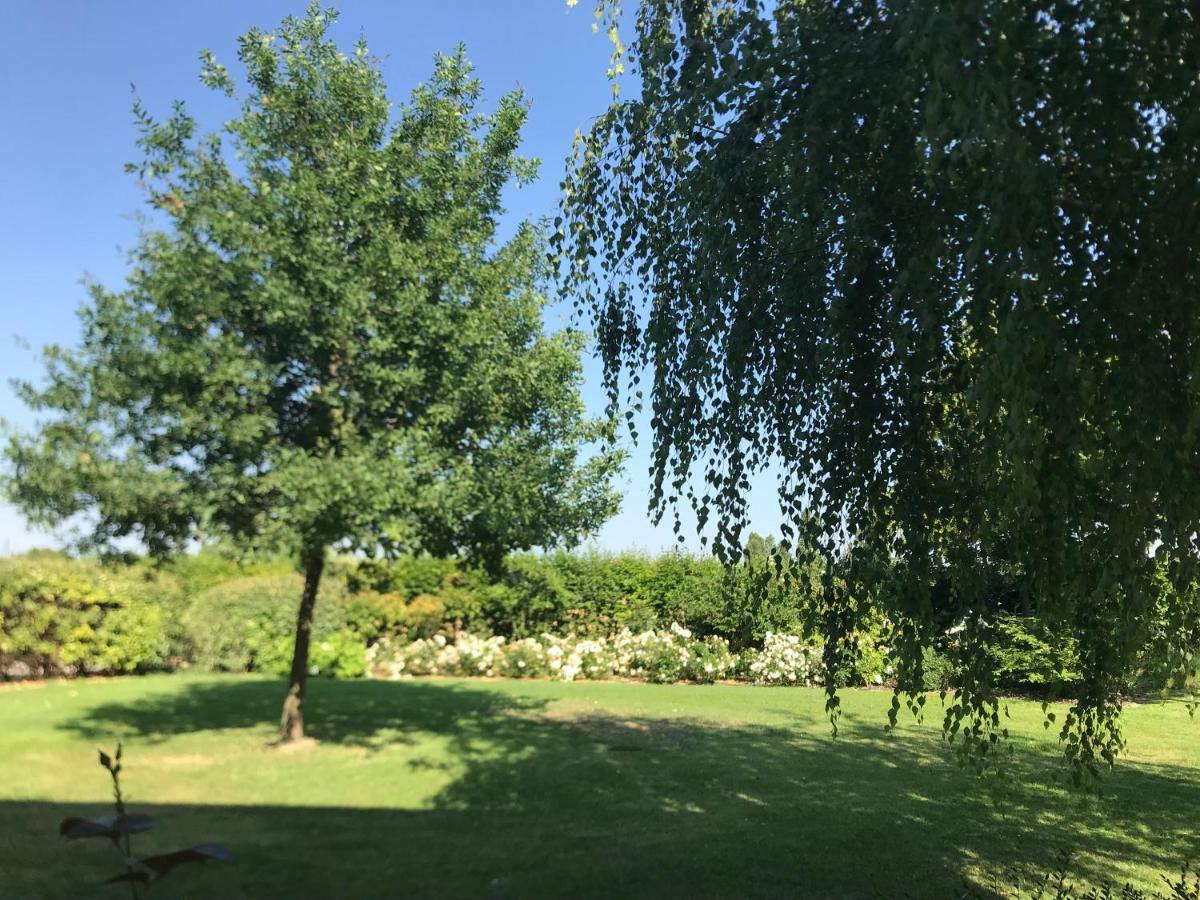 B&B Temenos Parma Buitenkant foto